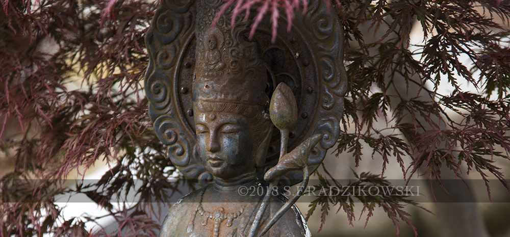 buddhist statue kannon