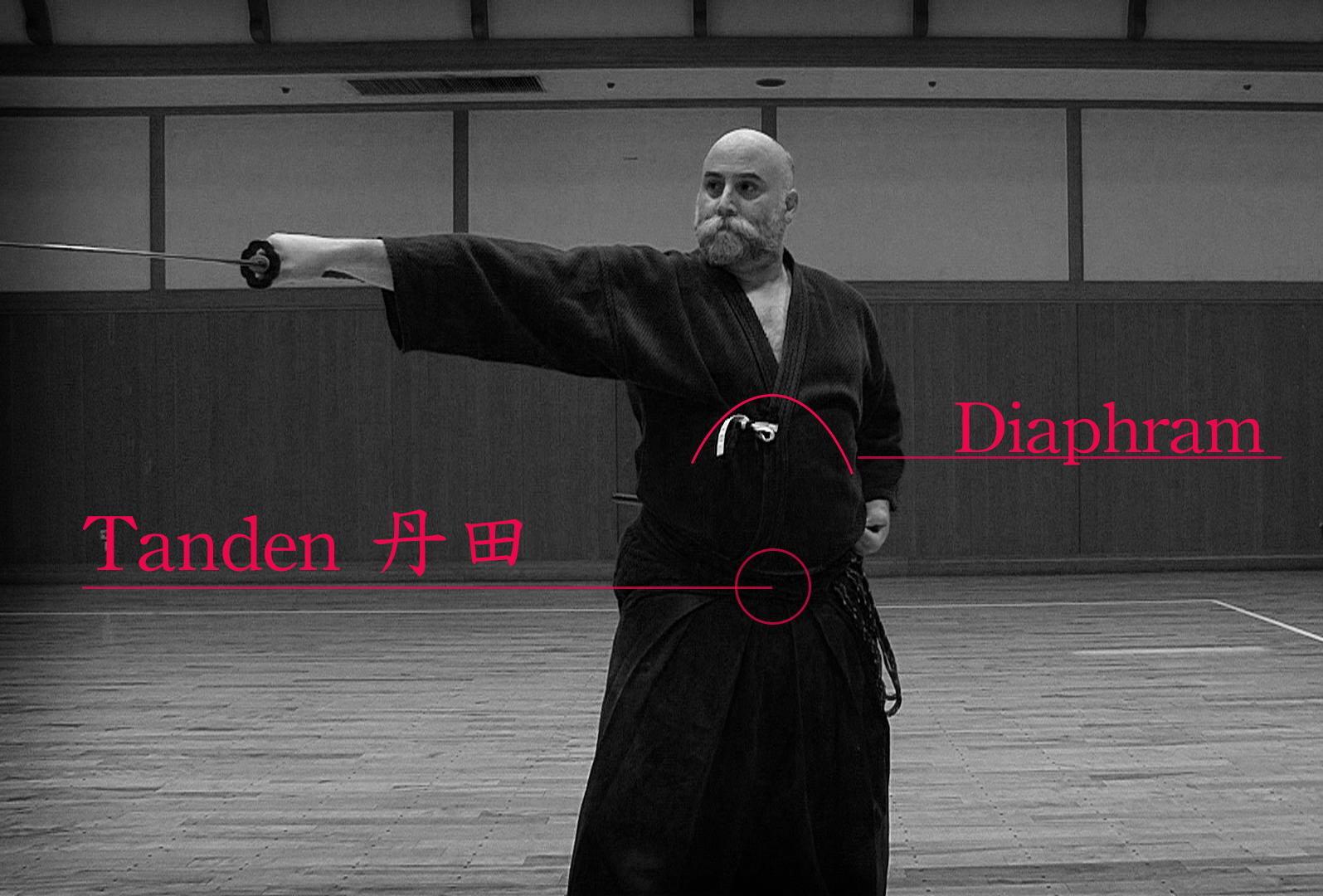 Martial Arts Breathing Power Shinkan Ryū Kenpō
