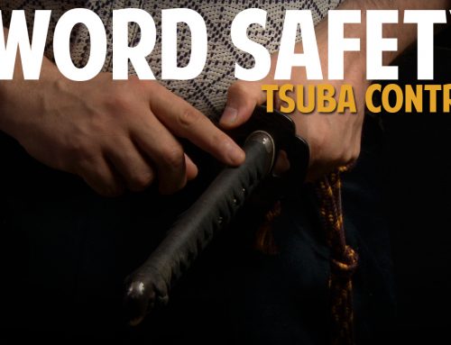 Sword Safety Tsuba Control