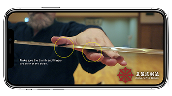 learn iaido online
