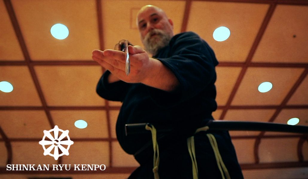 iaido sword tame seme