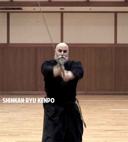 Kesagiri: Anatomy of A Sword Strike • Shinkan Ryū Kenpō
