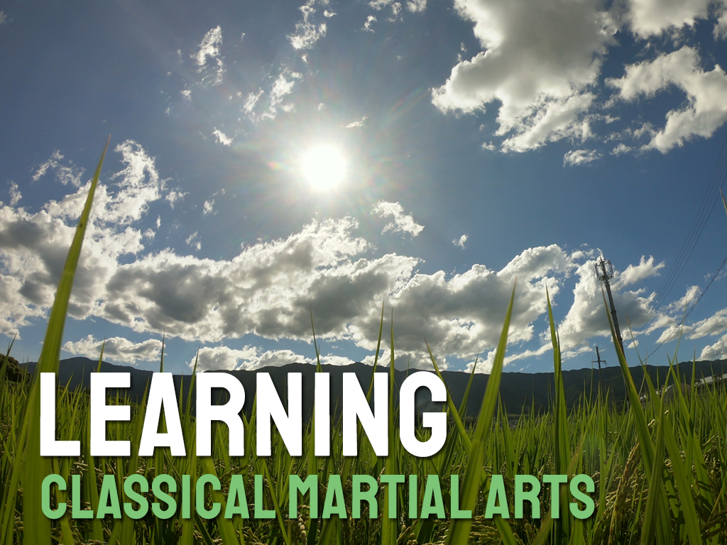 Classical Martial Arts