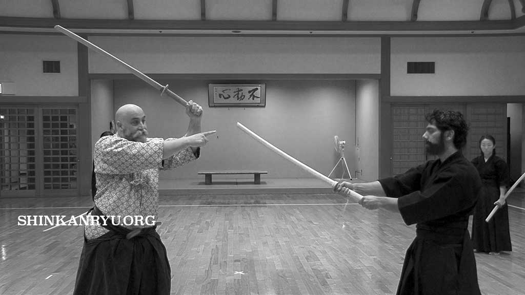 teaching kenjutsu with bokuto