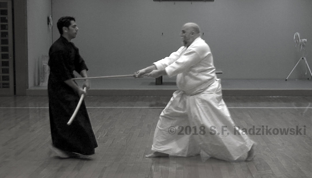 Kata Classical Japanese Samurai Training Method • Shinkan Ryū Kenpō